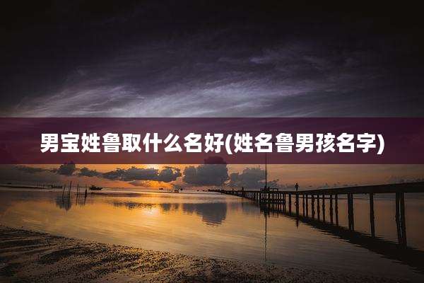 男宝姓鲁取什么名好(姓名鲁男孩名字)