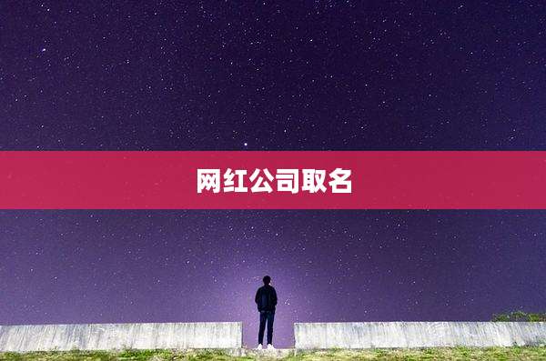 网红公司取名