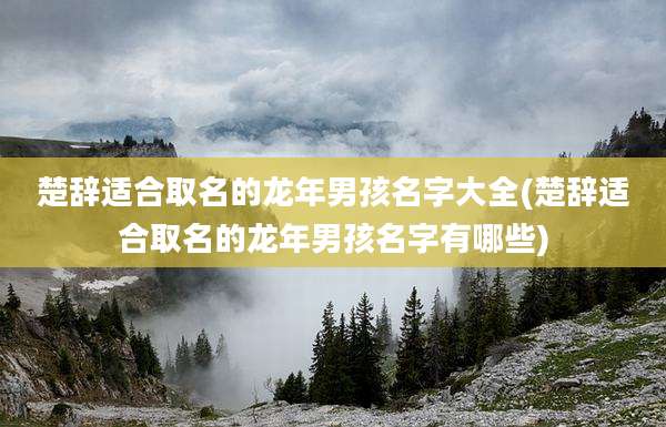 楚辞适合取名的龙年男孩名字大全(楚辞适合取名的龙年男孩名字有哪些)