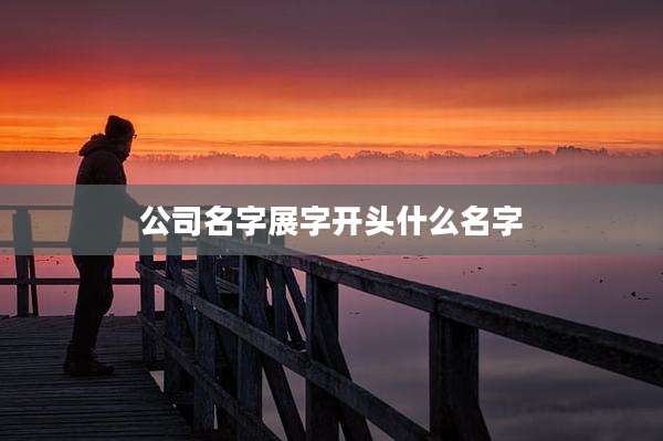 公司名字展字开头什么名字