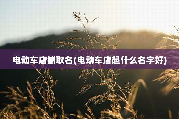 电动车店铺取名(电动车店起什么名字好)