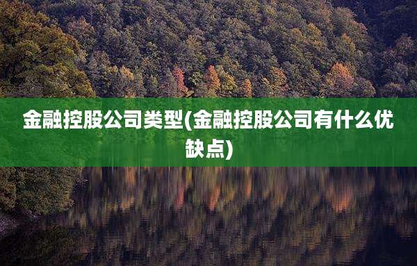 金融控股公司类型(金融控股公司有什么优缺点)