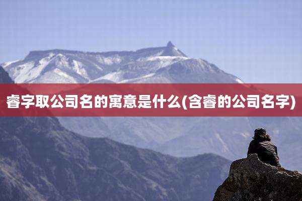 睿字取公司名的寓意是什么(含睿的公司名字)