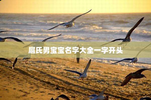 扈氏男宝宝名字大全一字开头
