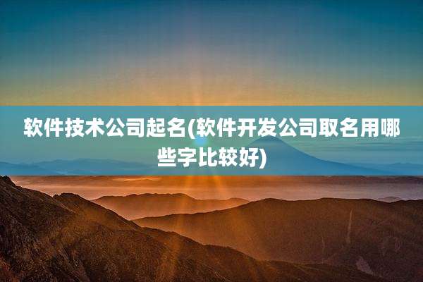 软件技术公司起名(软件开发公司取名用哪些字比较好)