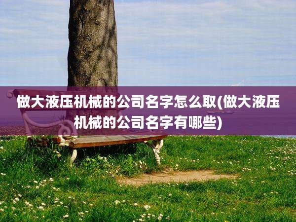 做大液压机械的公司名字怎么取(做大液压机械的公司名字有哪些)