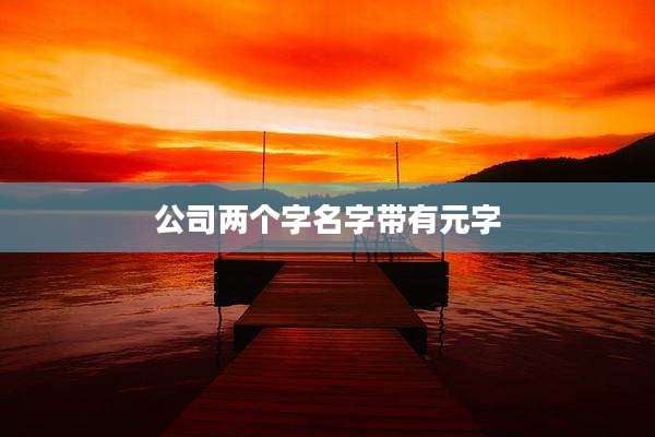 公司两个字名字带有元字