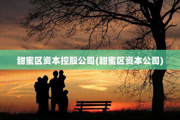 甜蜜区资本控股公司(甜蜜区资本公司)