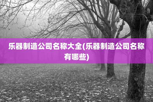 乐器制造公司名称大全(乐器制造公司名称有哪些)