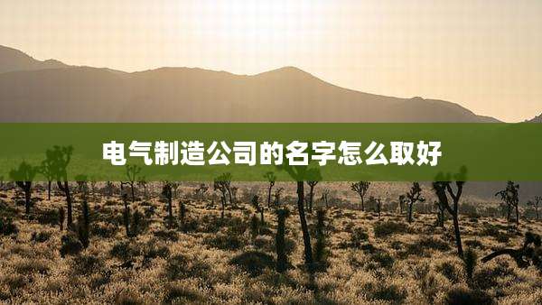电气制造公司的名字怎么取好