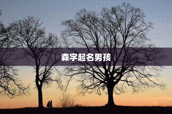 森字起名男孩