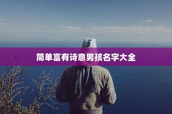 简单富有诗意男孩名字大全