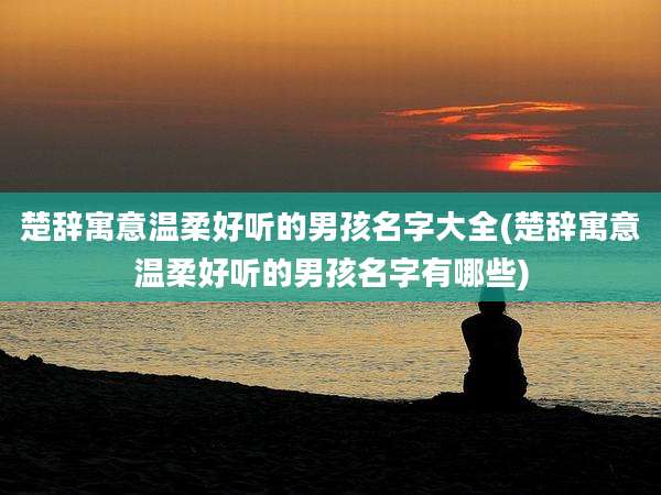 楚辞寓意温柔好听的男孩名字大全(楚辞寓意温柔好听的男孩名字有哪些)