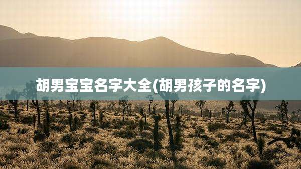 胡男宝宝名字大全(胡男孩子的名字)