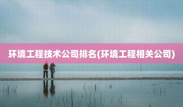 环境工程技术公司排名(环境工程相关公司)