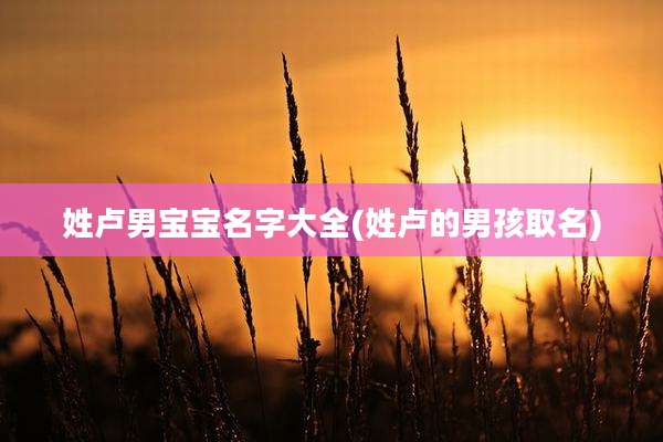 姓卢男宝宝名字大全(姓卢的男孩取名)