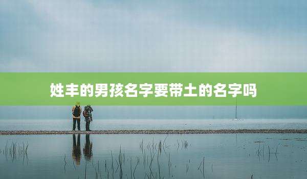 姓丰的男孩名字要带土的名字吗