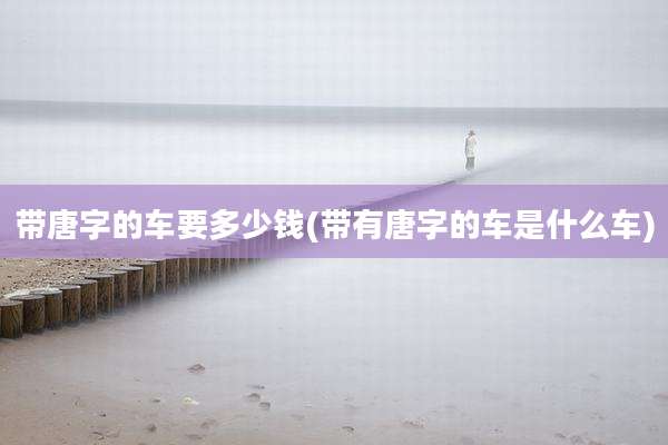 带唐字的车要多少钱(带有唐字的车是什么车)