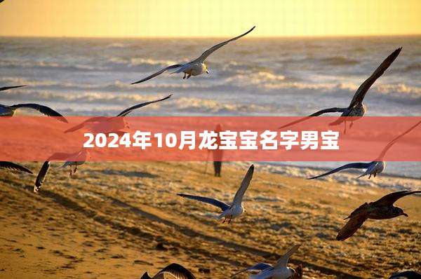 2024年10月龙宝宝名字男宝