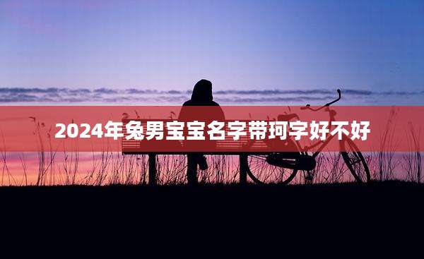 2024年兔男宝宝名字带珂字好不好