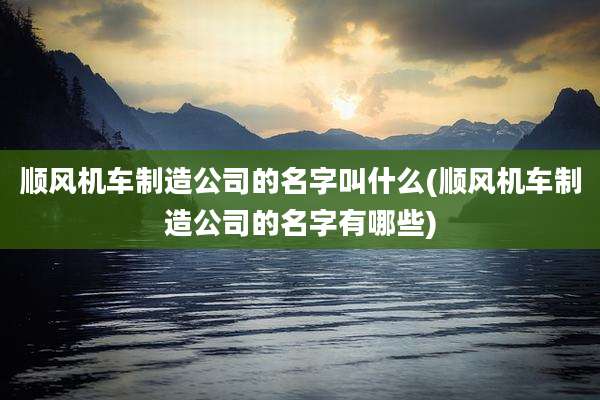 顺风机车制造公司的名字叫什么(顺风机车制造公司的名字有哪些)