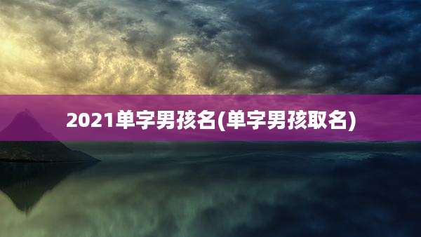 2021单字男孩名(单字男孩取名)