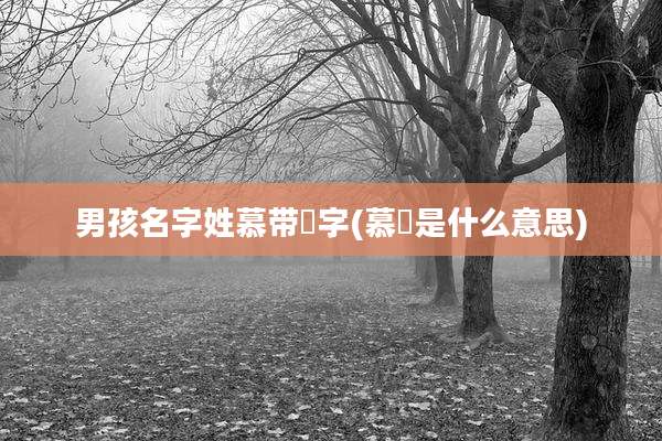 男孩名字姓慕带彧字(慕彧是什么意思)