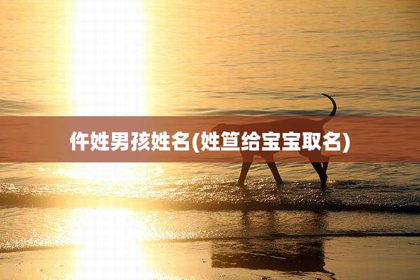 仵姓男孩姓名(姓笪给宝宝取名)