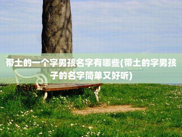 带土的一个字男孩名字有哪些(带土的字男孩子的名字简单又好听)