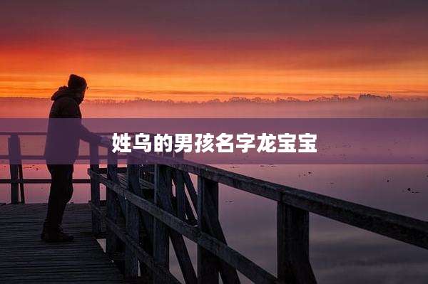 姓乌的男孩名字龙宝宝