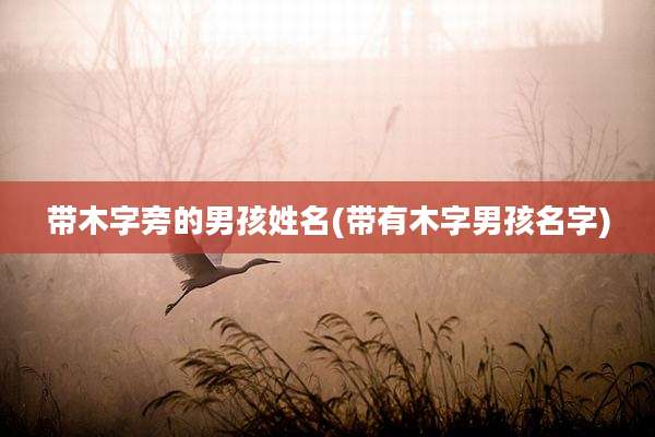 带木字旁的男孩姓名(带有木字男孩名字)