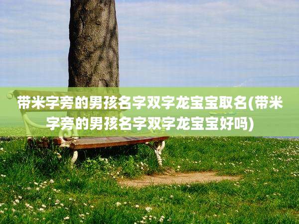 带米字旁的男孩名字双字龙宝宝取名(带米字旁的男孩名字双字龙宝宝好吗)