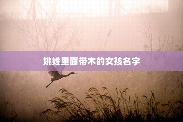 姚姓里面带木的女孩名字