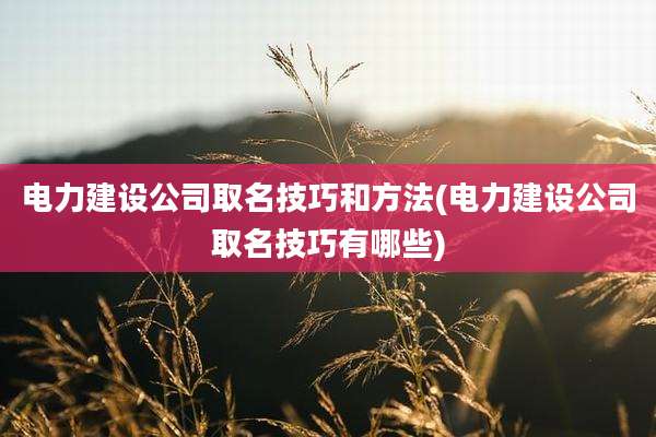 电力建设公司取名技巧和方法(电力建设公司取名技巧有哪些)