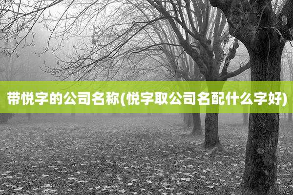 带悦字的公司名称(悦字取公司名配什么字好)