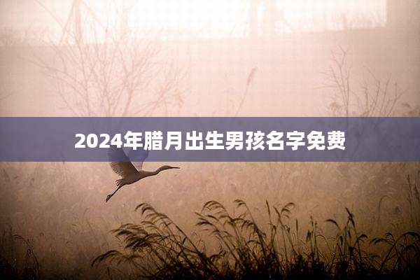 2024年腊月出生男孩名字免费