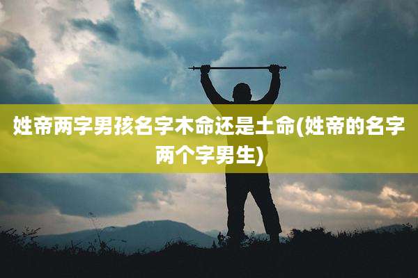 姓帝两字男孩名字木命还是土命(姓帝的名字两个字男生)