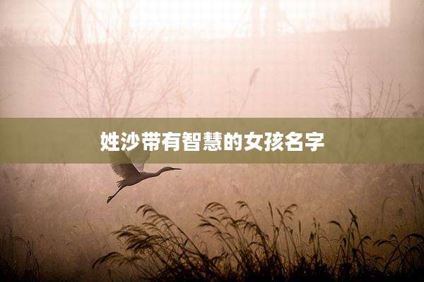 姓沙带有智慧的女孩名字