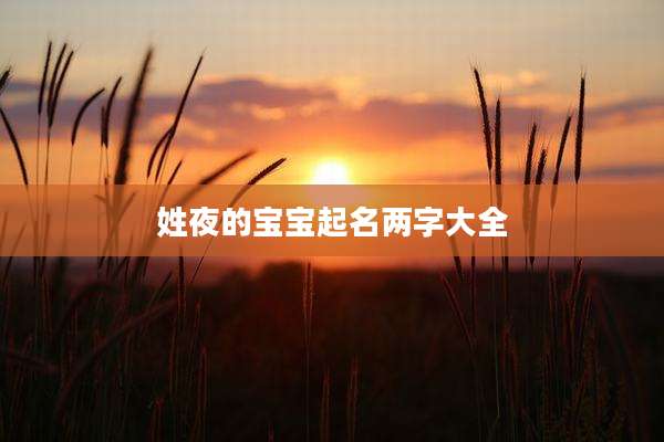 姓夜的宝宝起名两字大全