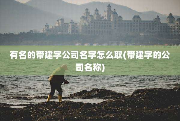 有名的带建字公司名字怎么取(带建字的公司名称)