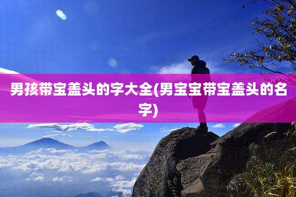 男孩带宝盖头的字大全(男宝宝带宝盖头的名字)