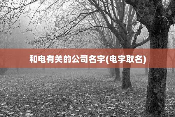 和电有关的公司名字(电字取名)