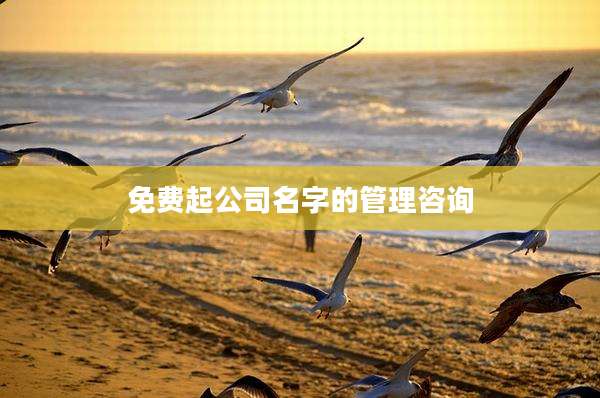 免费起公司名字的管理咨询