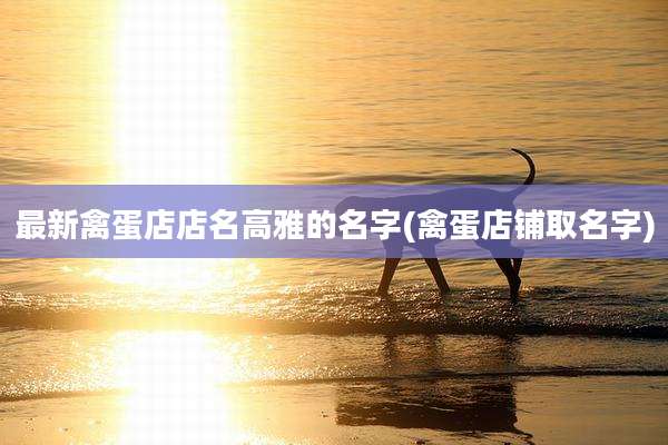 最新禽蛋店店名高雅的名字(禽蛋店铺取名字)