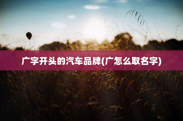 广字开头的汽车品牌(广怎么取名字)