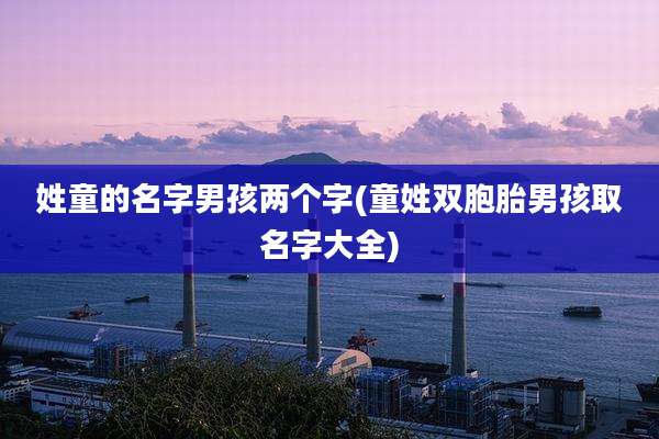 姓童的名字男孩两个字(童姓双胞胎男孩取名字大全)