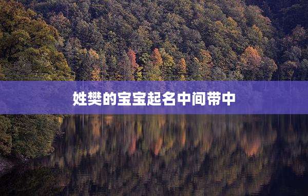 姓樊的宝宝起名中间带中