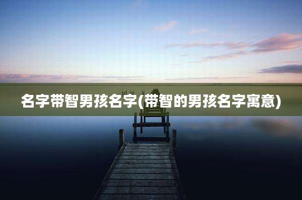 名字带智男孩名字(带智的男孩名字寓意)