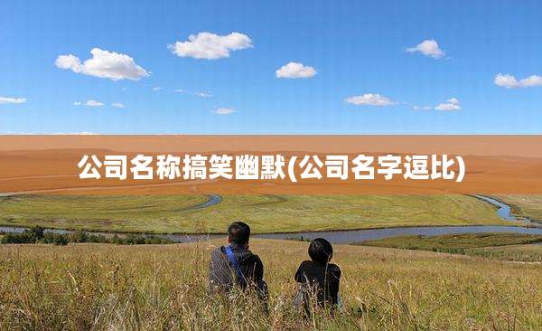 公司名称搞笑幽默(公司名字逗比)