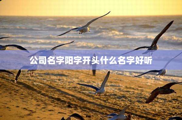 公司名字阳字开头什么名字好听